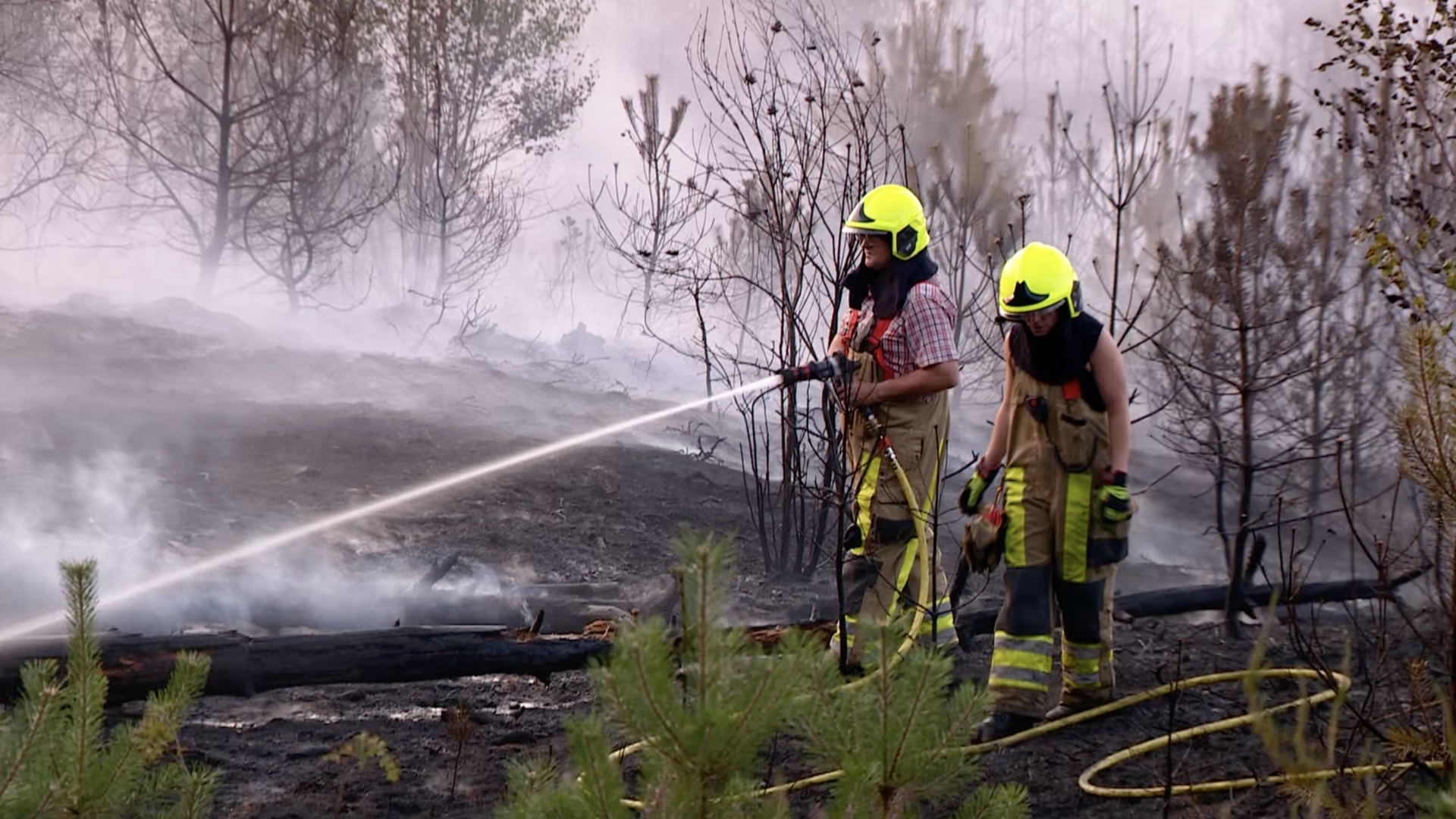 VIDEO: Grote brand Brunssummerheide na uren geblust | ZO-NWS